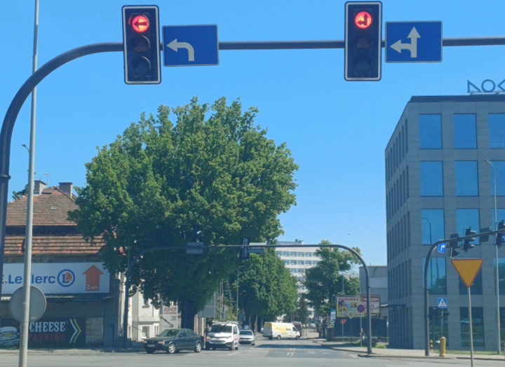 Drzewo,o które walczyli mieszkańcy