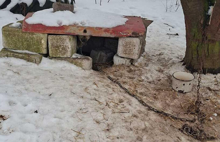 Jedna z prowizorycznych bud