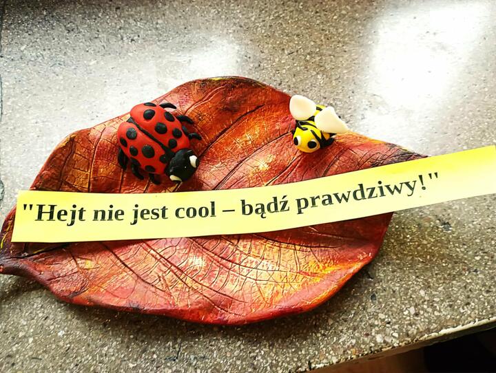Praca wykonana na zajęciach przeciwko hejtowi
