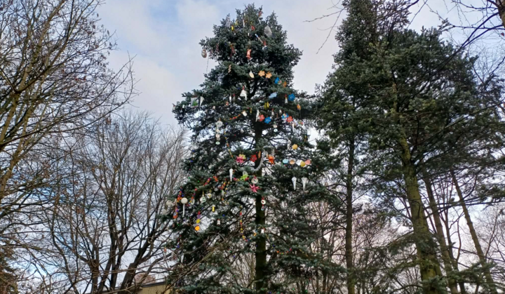 Zrzut ekranu 2025-12-12 121536